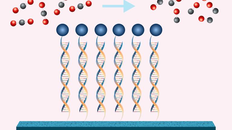 MIT chemical engineers have shown that by using DNA to tether a catalyst (blue circles) to an electrode, they can make the conversion of carbon dioxide to carbon monoxide much more efficient.