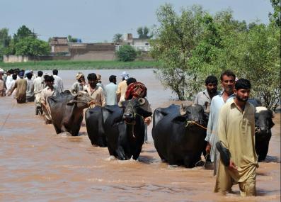 displaced people during flooding in Pakistan