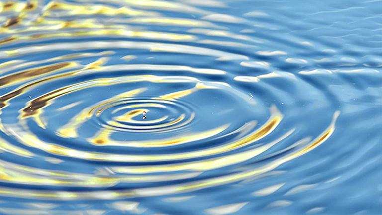 Circular ripples in a pond