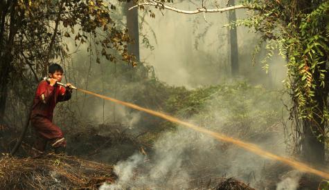 Wildfires in Southeast Asia significantly affect the moods of people in many neighboring countries, with people becoming more upset if fires originate outside their own country, according to a new study analyzing social media activity. Pictured is a 2019 forest fire in Central Kalimantan.