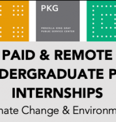 Header: Paid and Remote Undergraduate PKG Internships