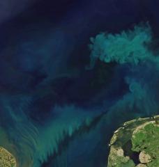 To track the changes in ocean color, scientists analyzed measurements of ocean color taken by the Moderate Resolution Imaging Spectroradiometer (MODIS) aboard the Aqua satellite, which has been monitoring ocean color for 21 years.